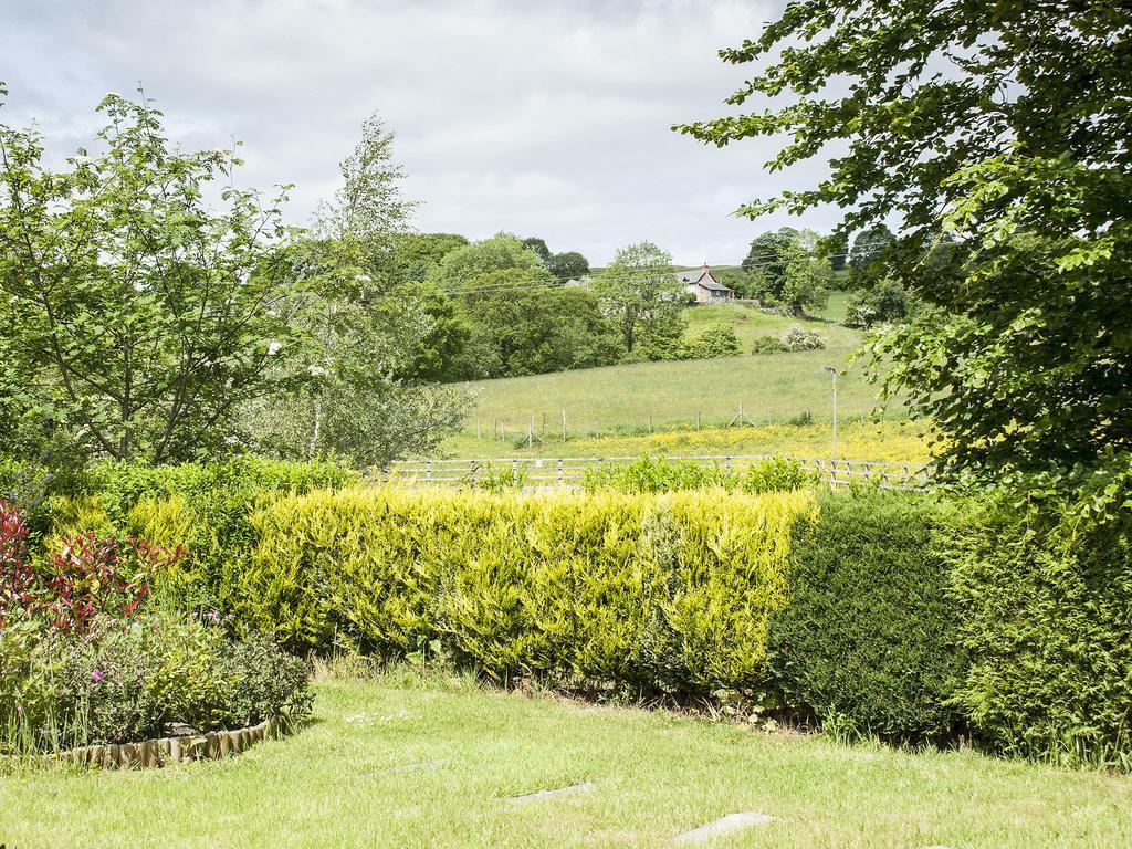 Bwthyn Bach Holiday Cottageバラ 部屋 写真